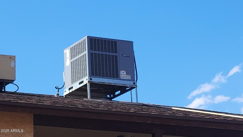 20251015_140600 (Large)