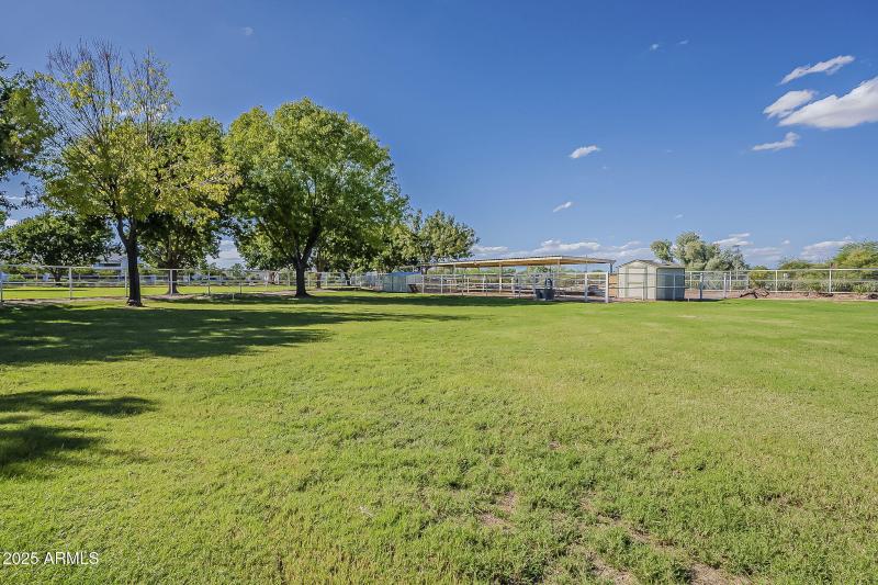 Backyard/Corral