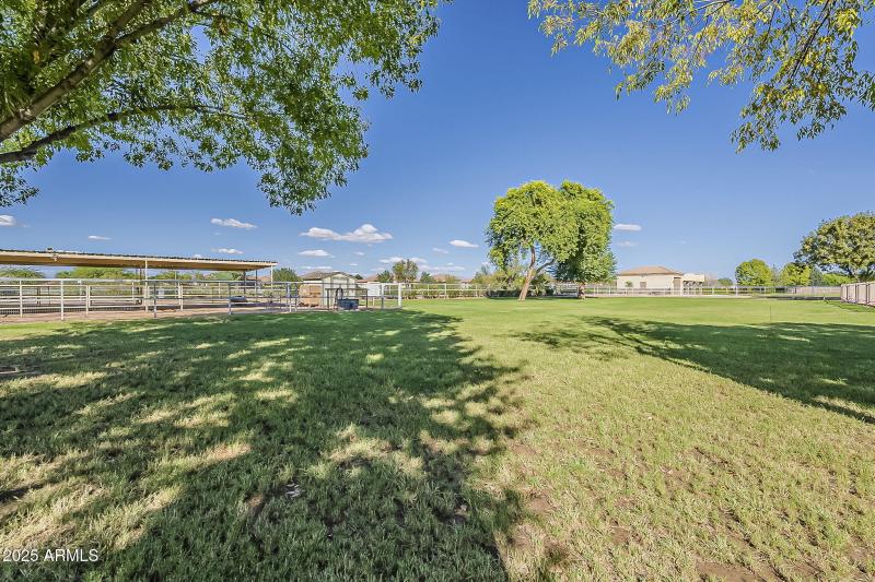 Backyard/Corral