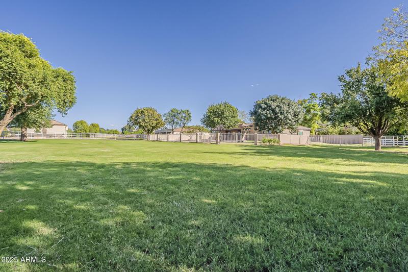 Backyard/Corral