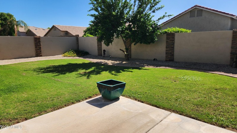 Back Yard