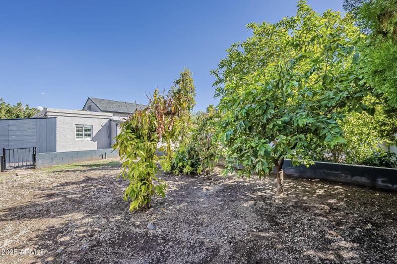 Garden Area