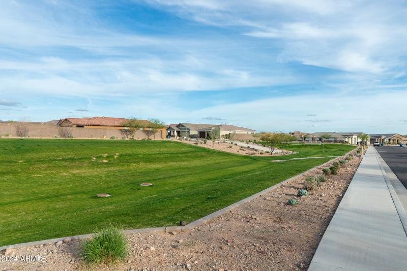 HOA green belt
