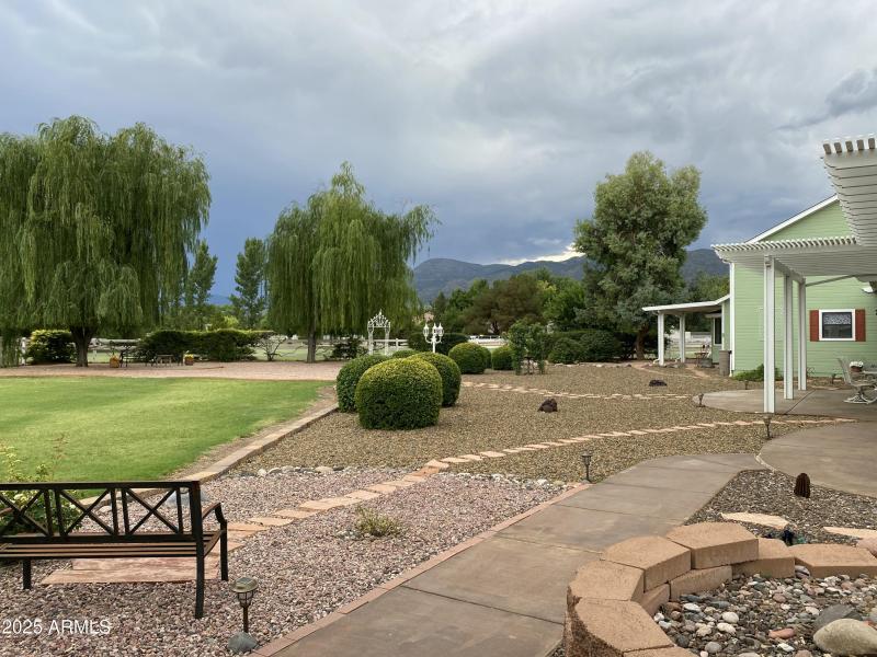 Back Yard