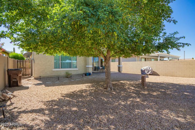 tree provides great shade