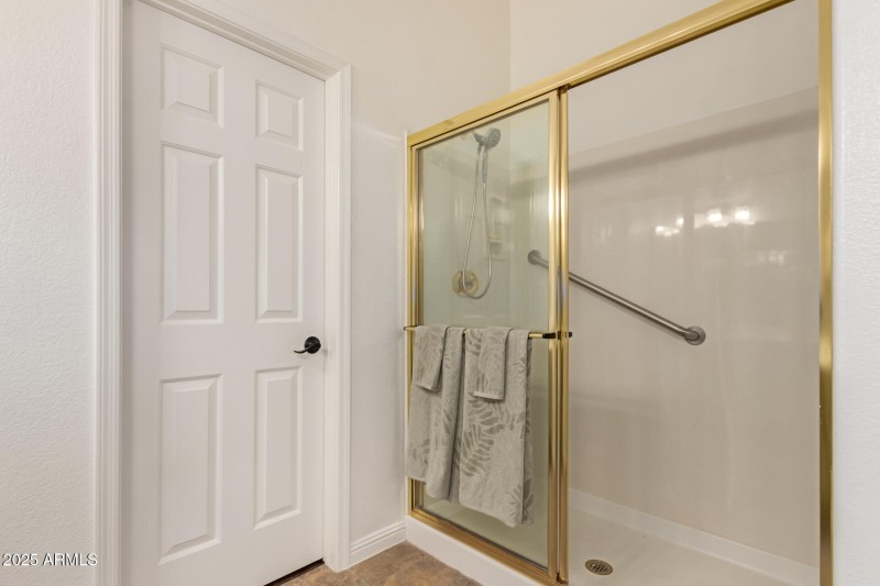 Primary Shower