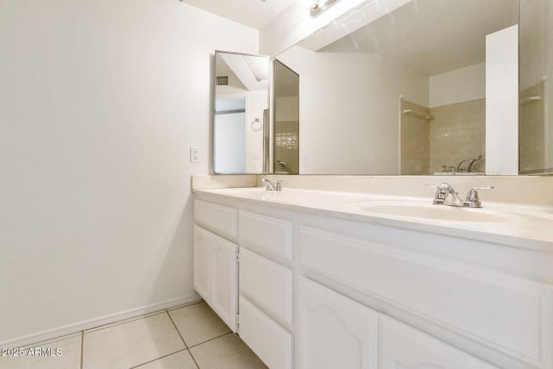 Primary Vanity