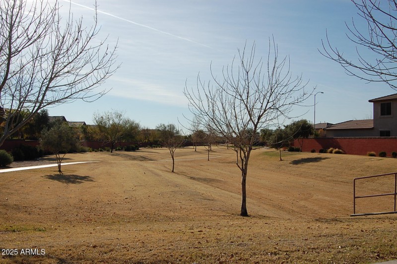 Community Walking Path 2