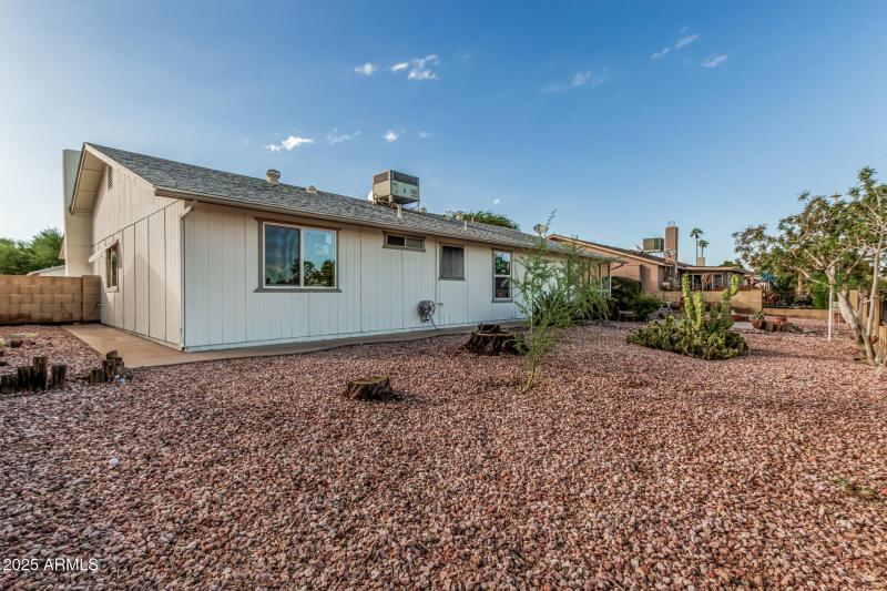 31 Mohave