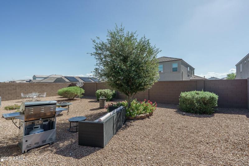 22) BACKYARD