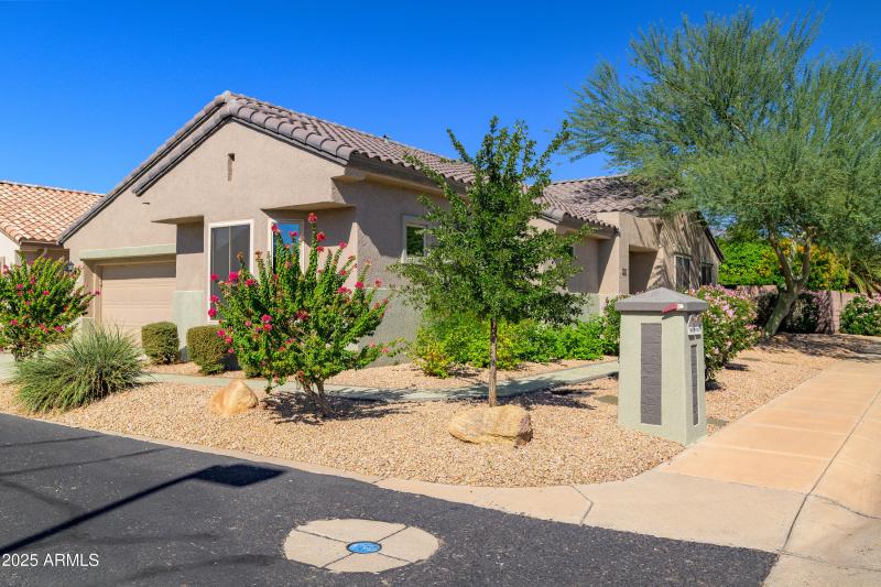 Easy Care Landscape