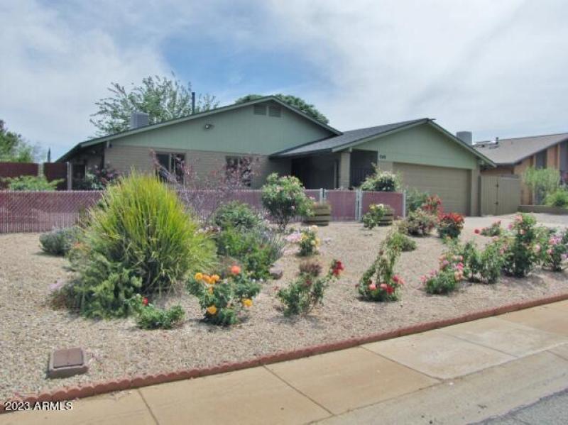 Front yard