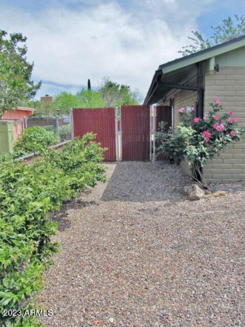 East side yard