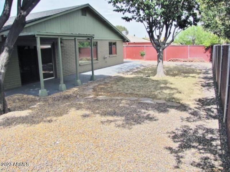 Backyard