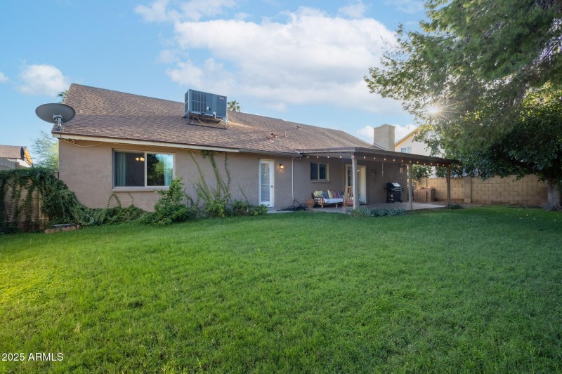 Grassy Yard
