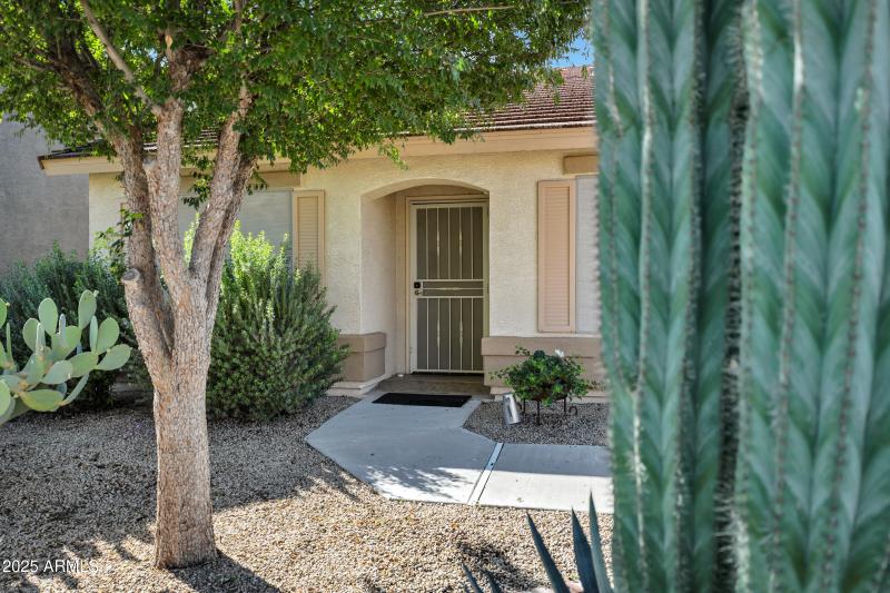 85 W Pasture Canyon Dr-4