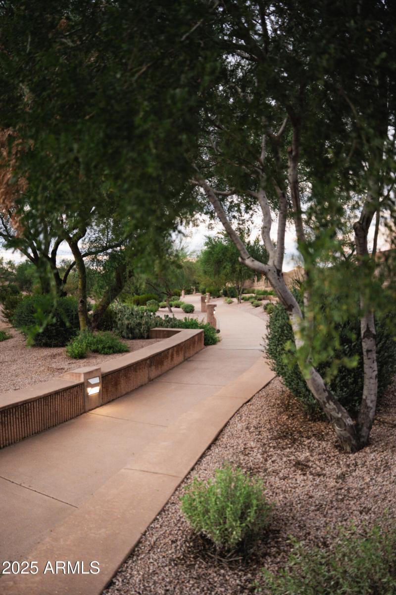 Trail Paths 2