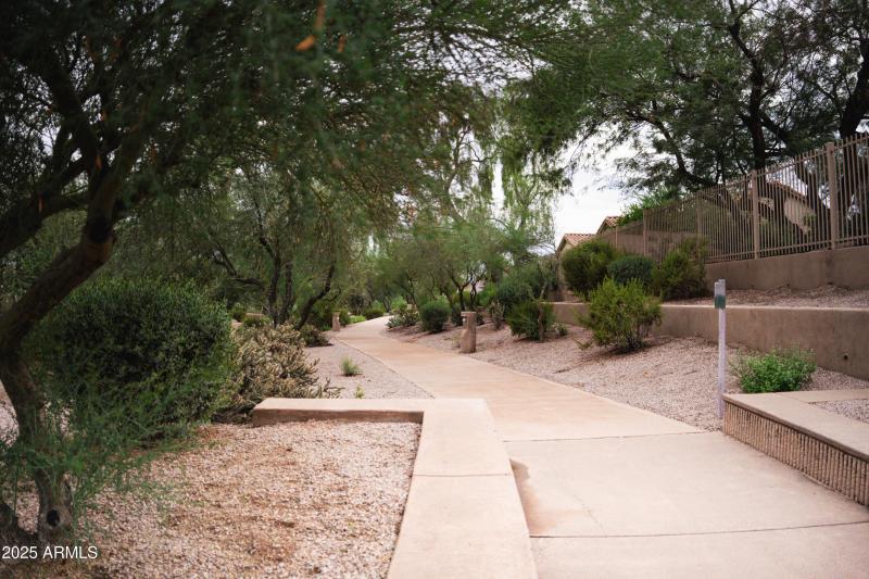 Trail Paths 3