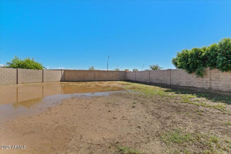 41-Back yard