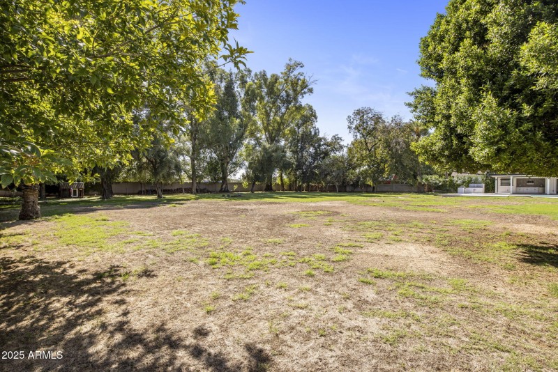 53-web-or-mls-D46A4984