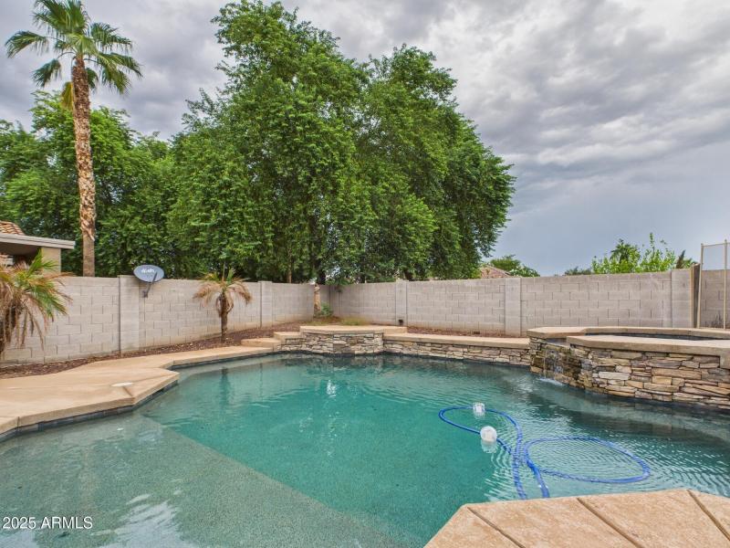 Backyard pool oasis