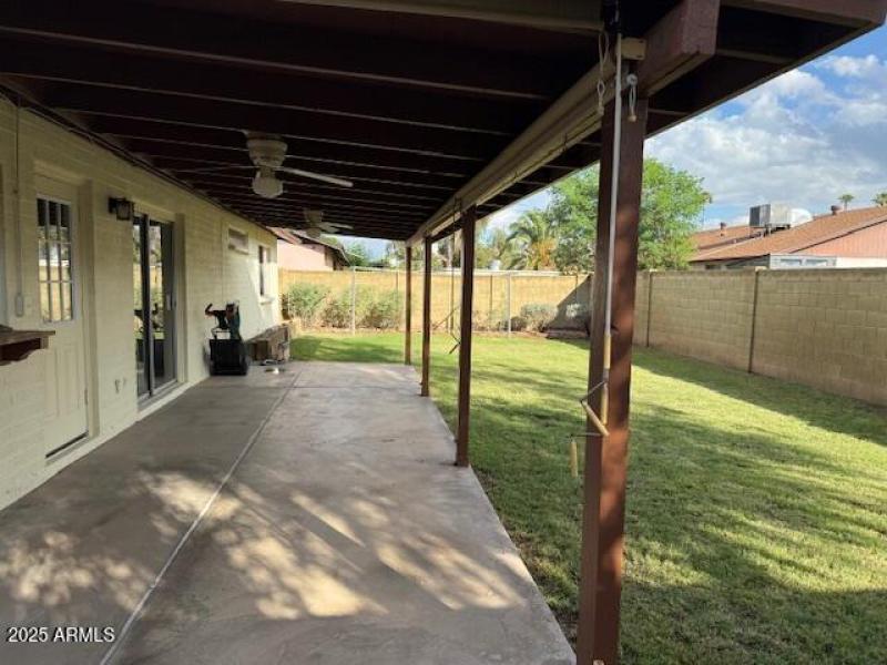 Backyard