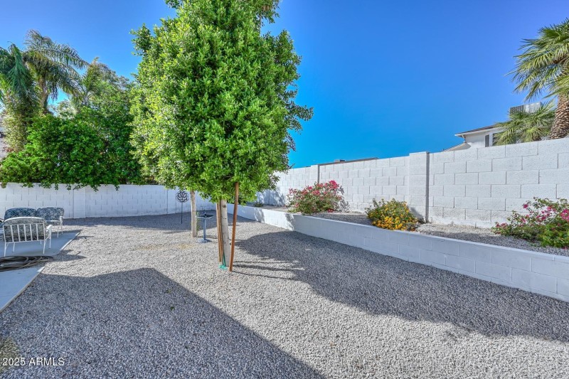 Backyard2