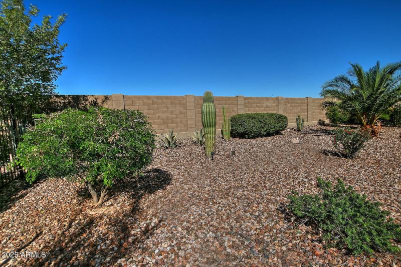 5814 W Cactus Wren Way-large-031-022-No