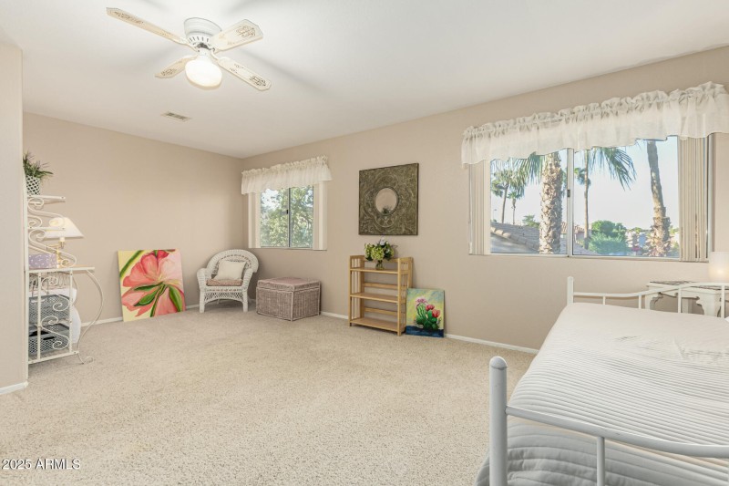 22 - Chuckwalla 4334