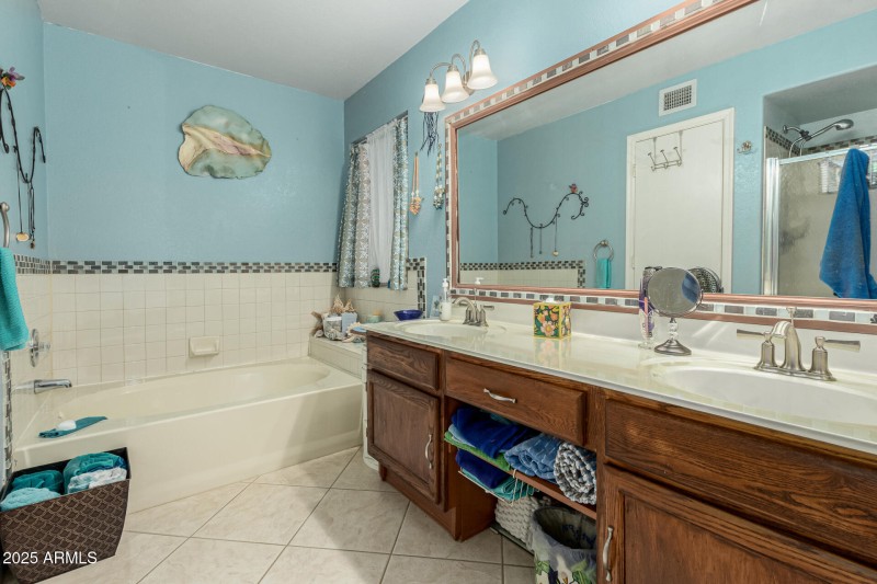 27 - Chuckwalla 4334