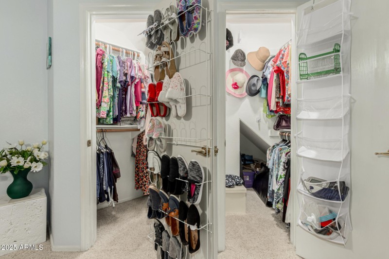 28 - Chuckwalla 4334