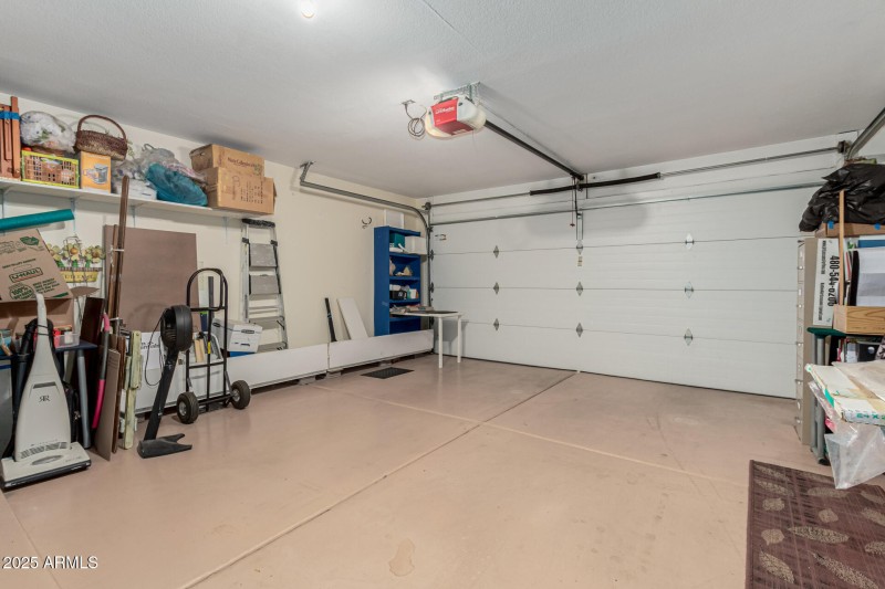 34 - Chuckwalla 4334