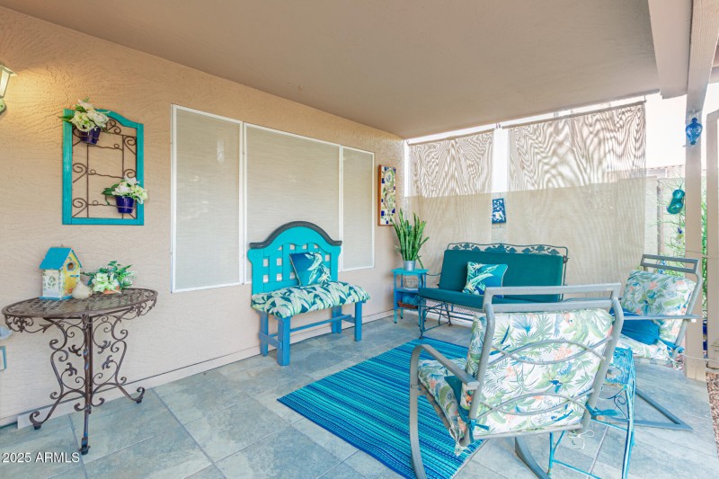 35 - Chuckwalla 4334