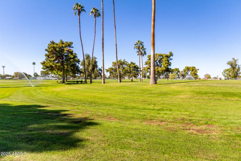 31 Gulf Hills