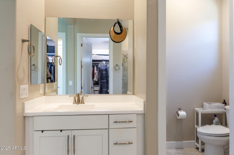 Primary Bath View