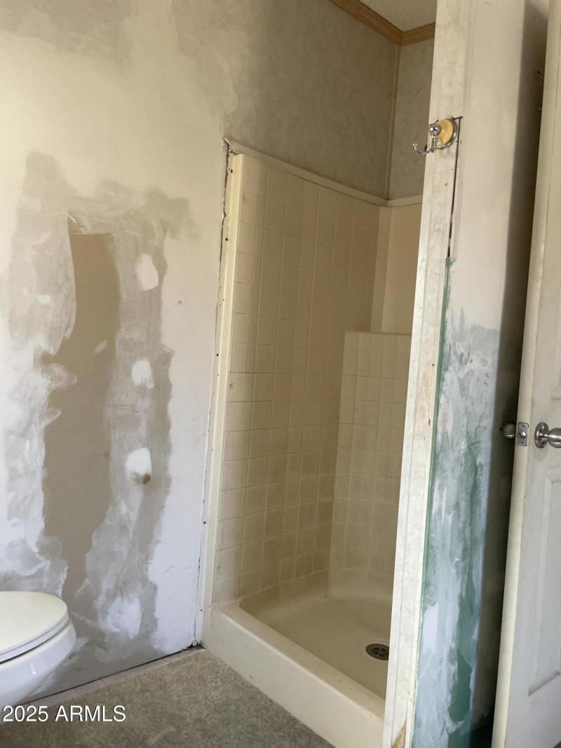 Master Shower