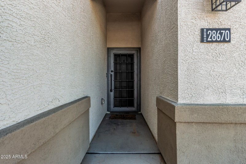 Custom Iron Security Door