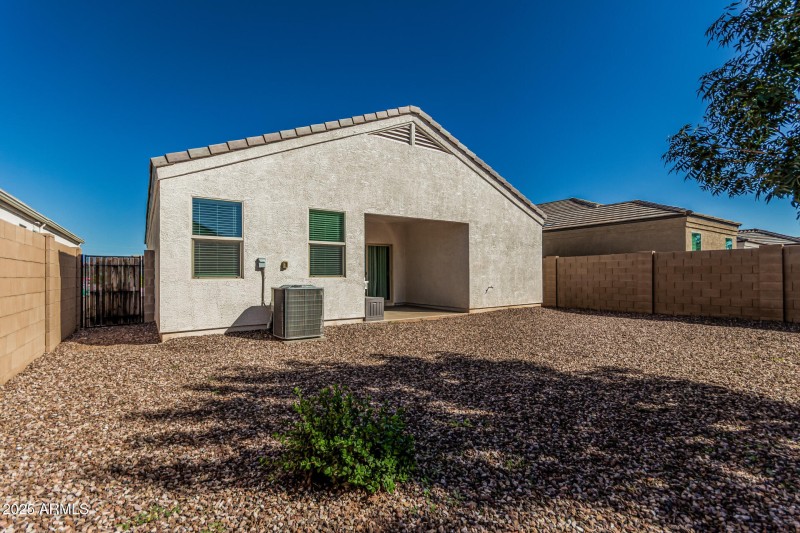 Low Maintenance Yard