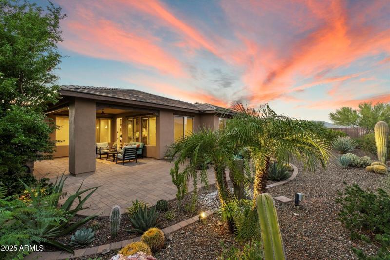 Beautiful Mature Desert Landscaping