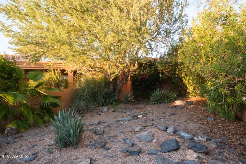 Side yard