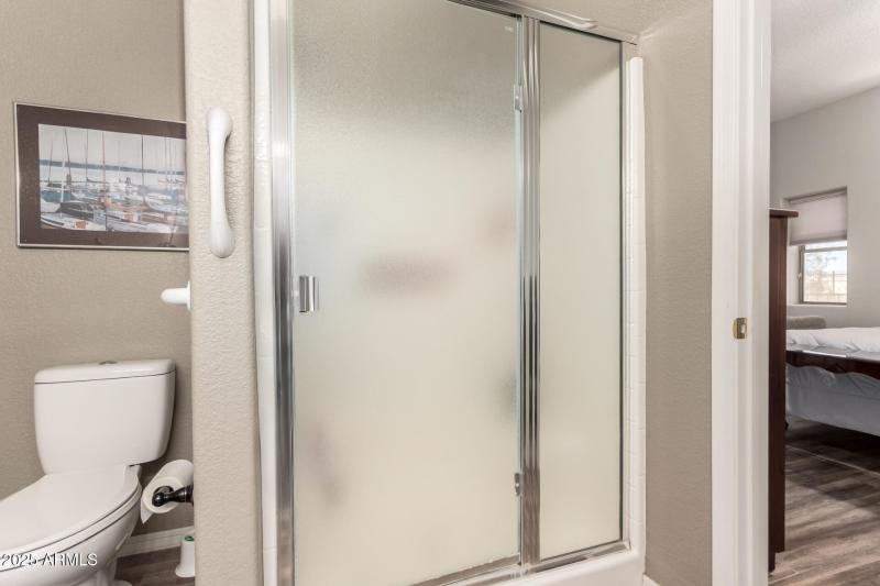 Primary Shower