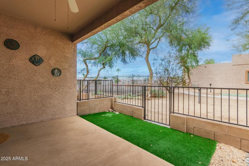 Back Patio