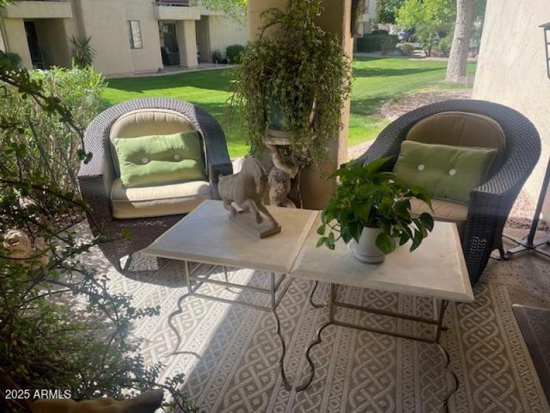 Back Patio