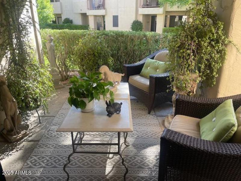 Back Patio