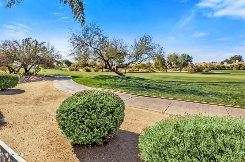 TPC Stadium Course Hole 1 Views