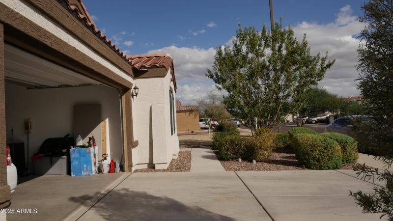 P1165954
