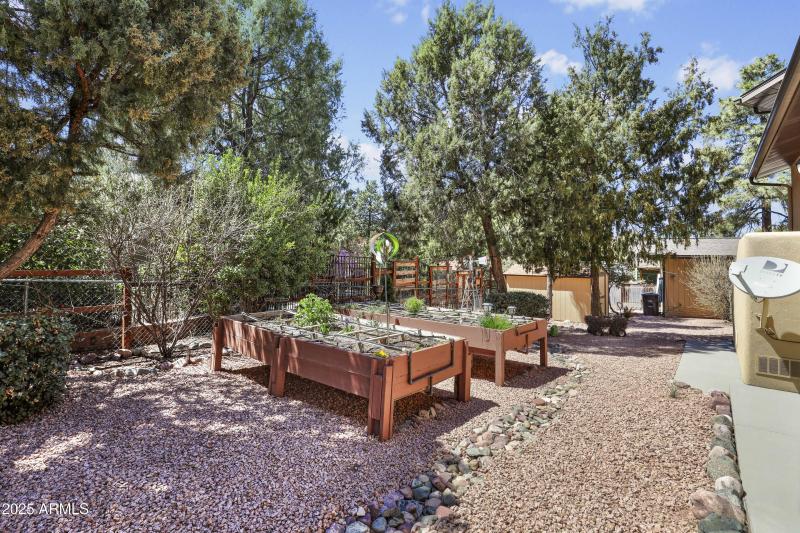 BACK YARD