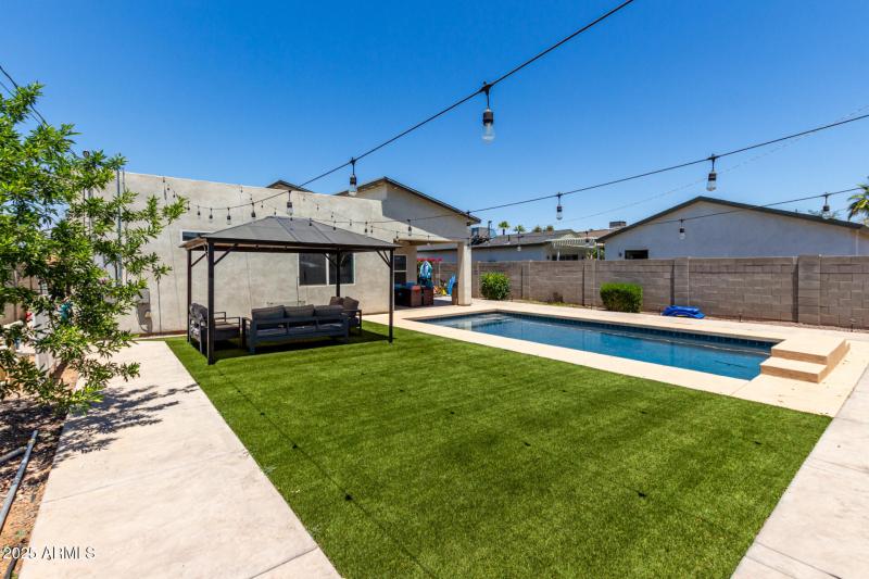 Backyard Oasis