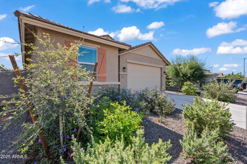10519 W Atlantis Way Tolleson AZ 85353-3