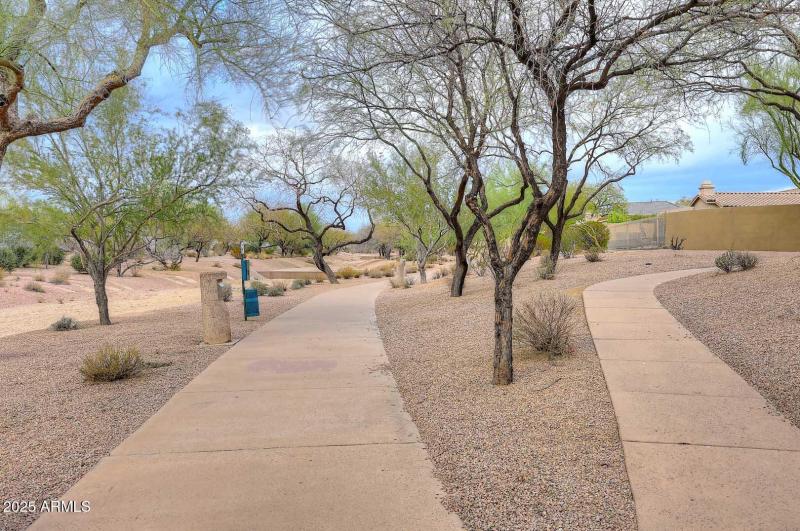 Community Walking Paths